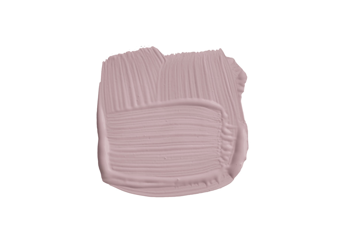 Farbklecks von Cinder Rose, dem Rosa einer Rose
