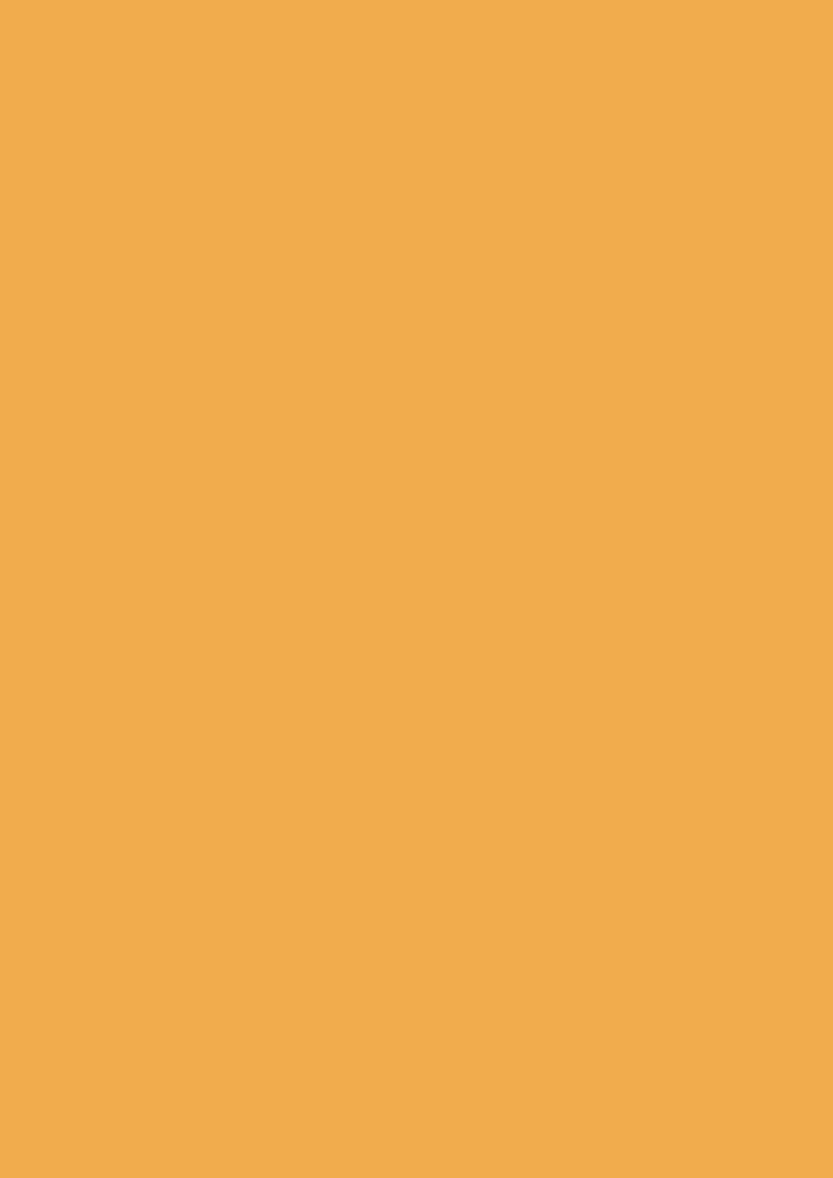 Farbtafel von Dutch Orange, einem warmen Orange.
