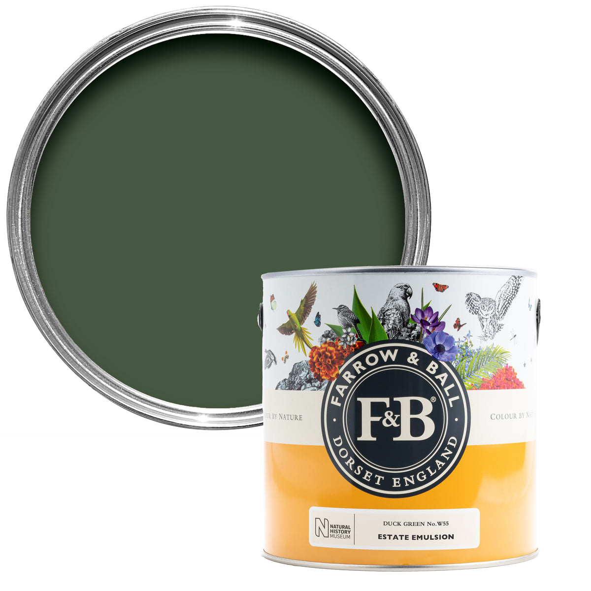 Offene Farbdose von oben von Duck Green, einem dunklen Grün, wie man es vom Gefieder der Stockente kennt mit einer geschlossenen 2,5l NHM Dose davor.