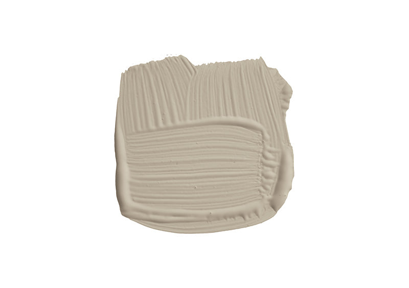 Farbklecks von Drop Cloth, einem ruhigen Graubraun
