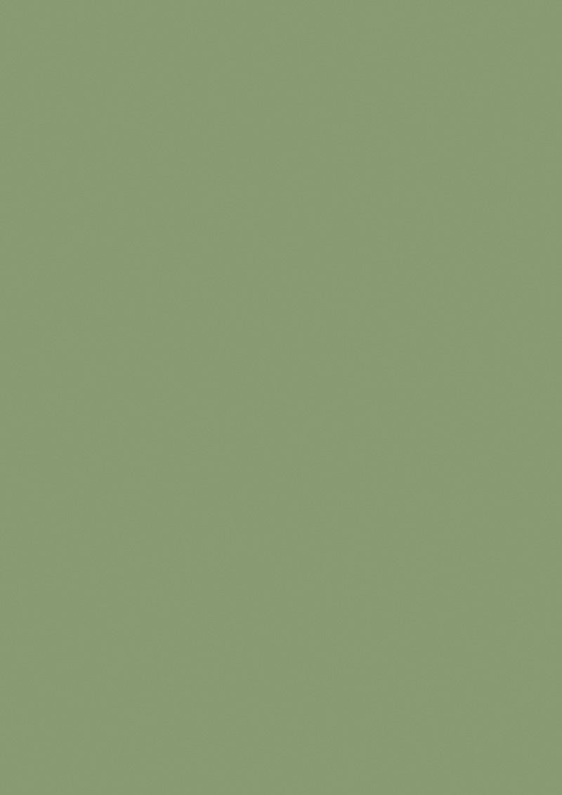 Farbtafel von Yearbridge Green, einem satten und wunderschönen Avocado Grün