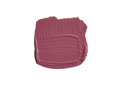Farbklecks von Radicchio, einem Rot wie eine Radieschen Salat